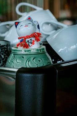 chú ý khi đọc vị cầu